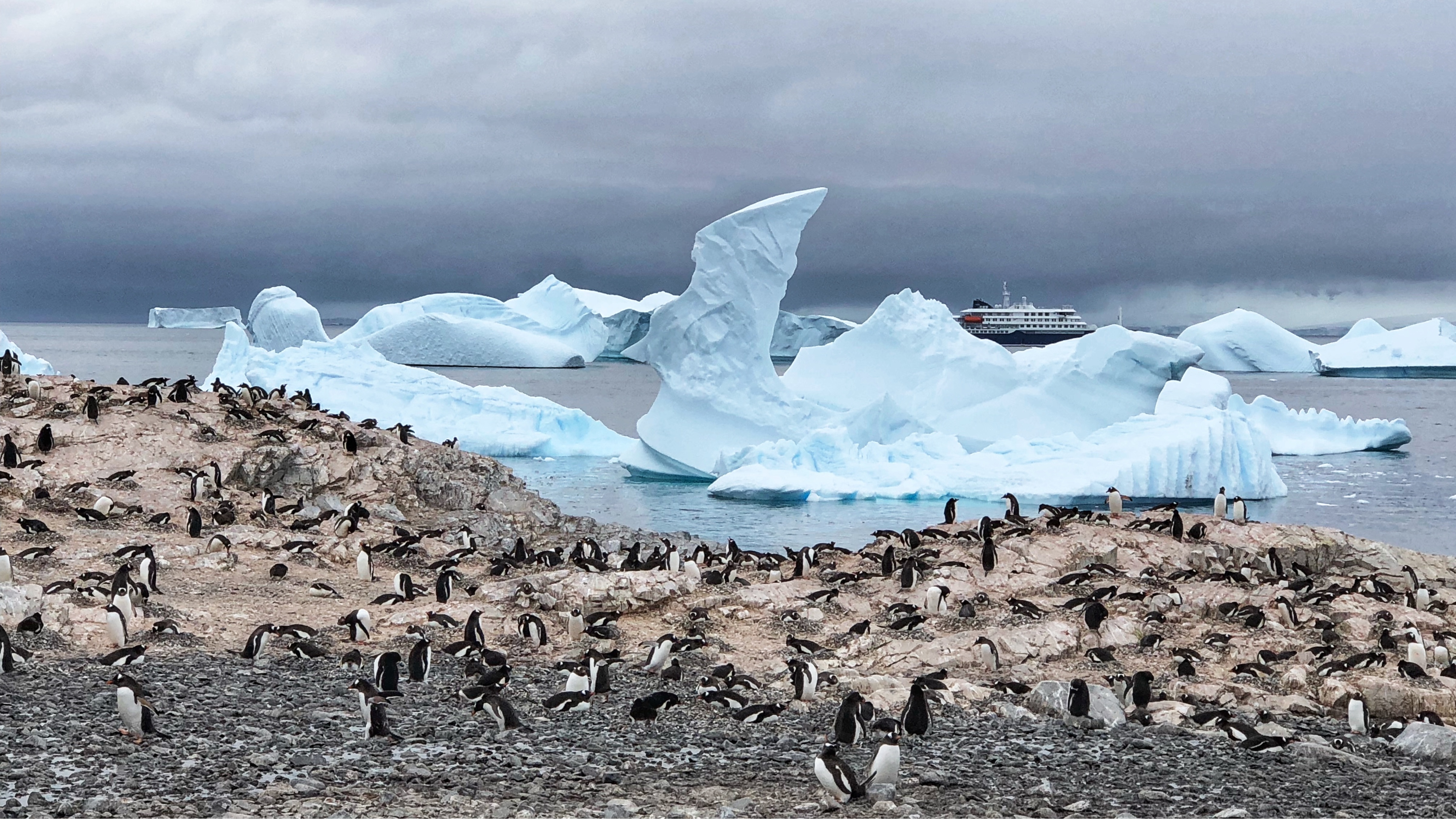Satellites For Biodiversity Award PR Image (2)