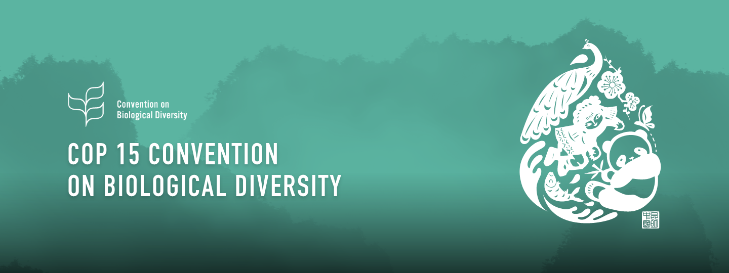 Connected Conservation Foundation Is Named As One Of “100+ Biodiversity Positive Practices And Actions”