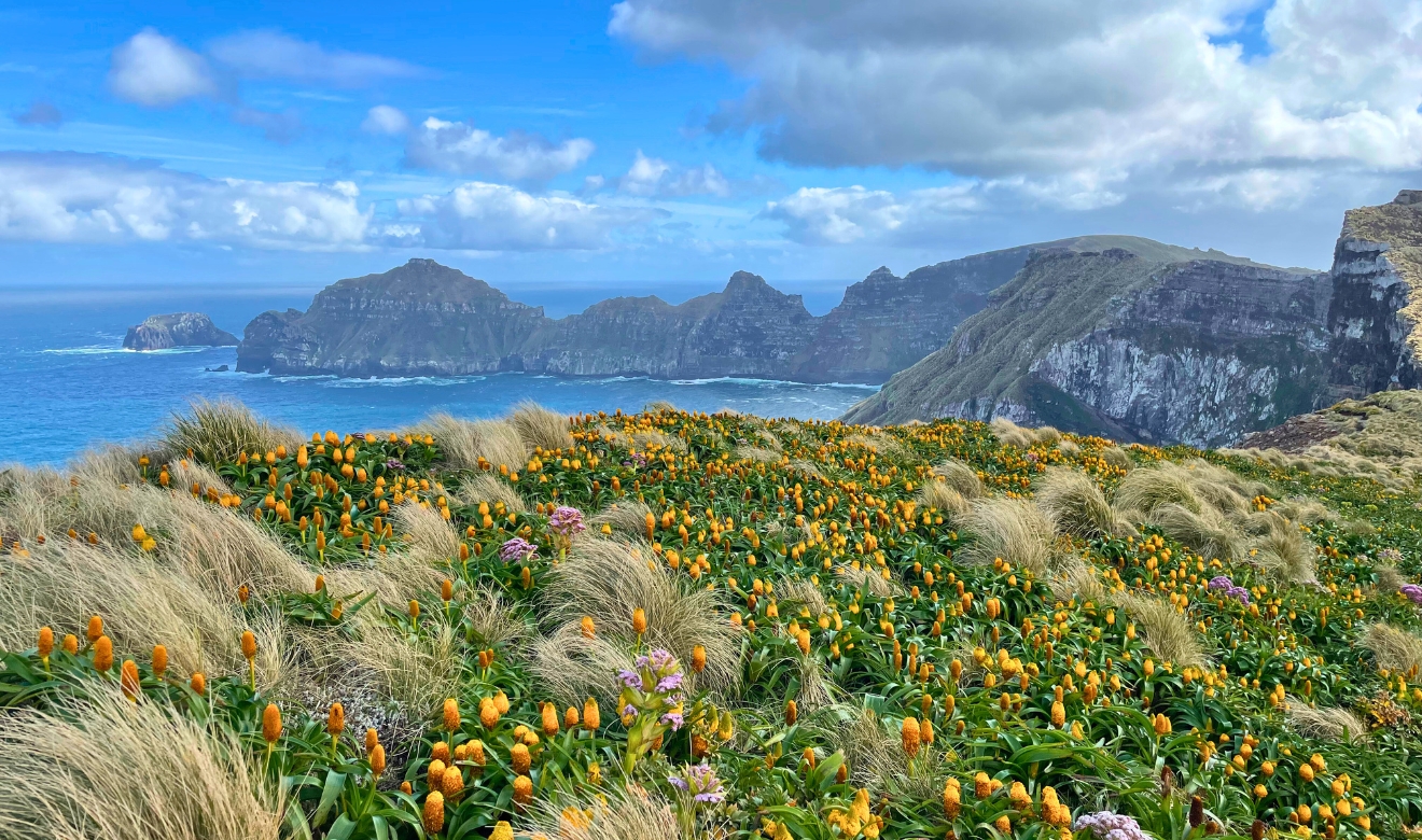 Campbell Island