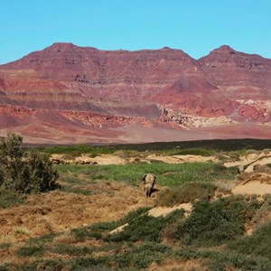 Namibia