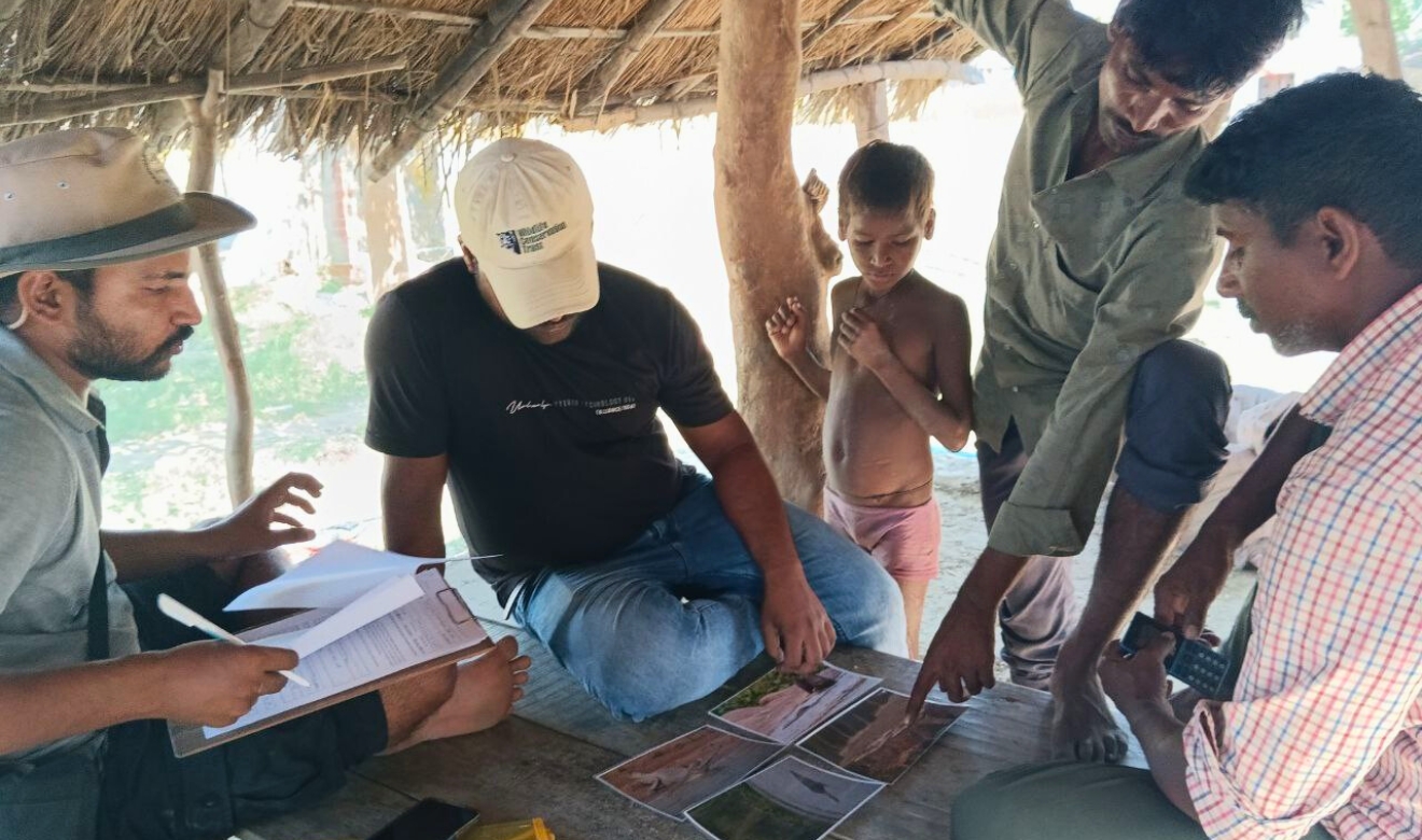 WCT Community Engagement