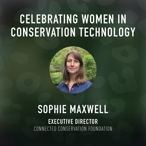 Celebrating women in conservation technology - Sophie Maxwell