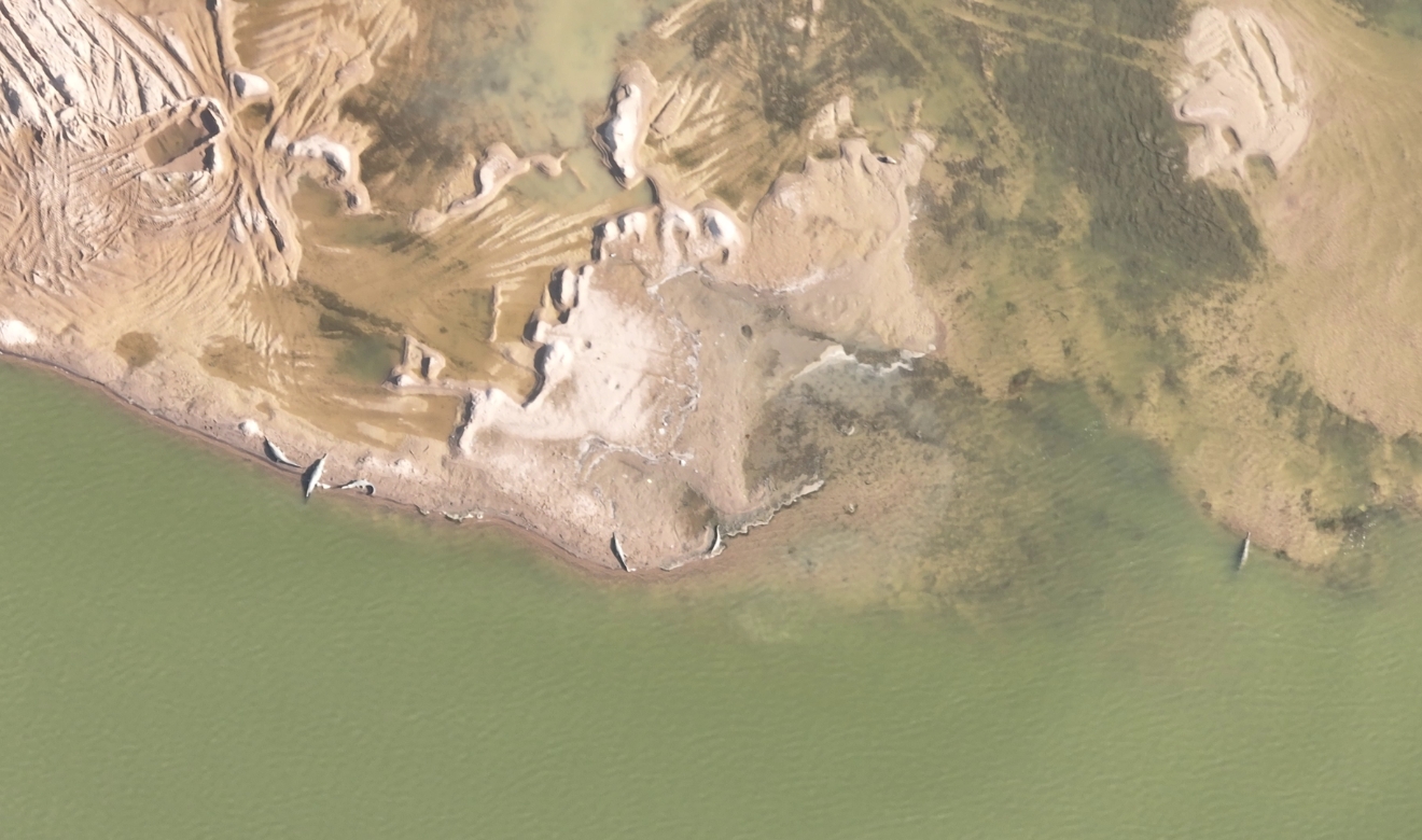 Ariel View Of Ghariels