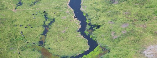 African Parks (1)