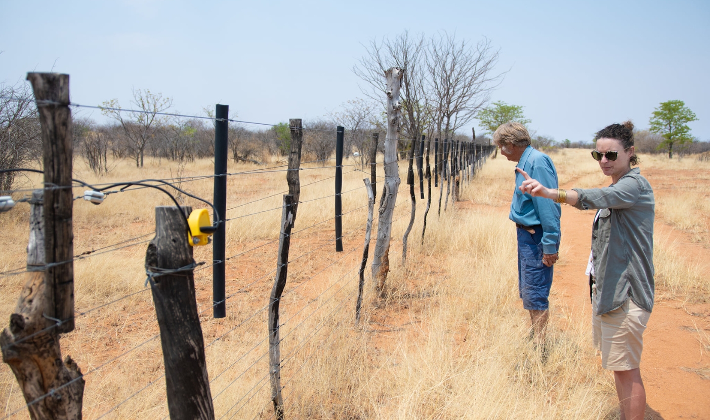 EHRA Is Testing A Two Way Bounce Back Elephant Friendly Fence